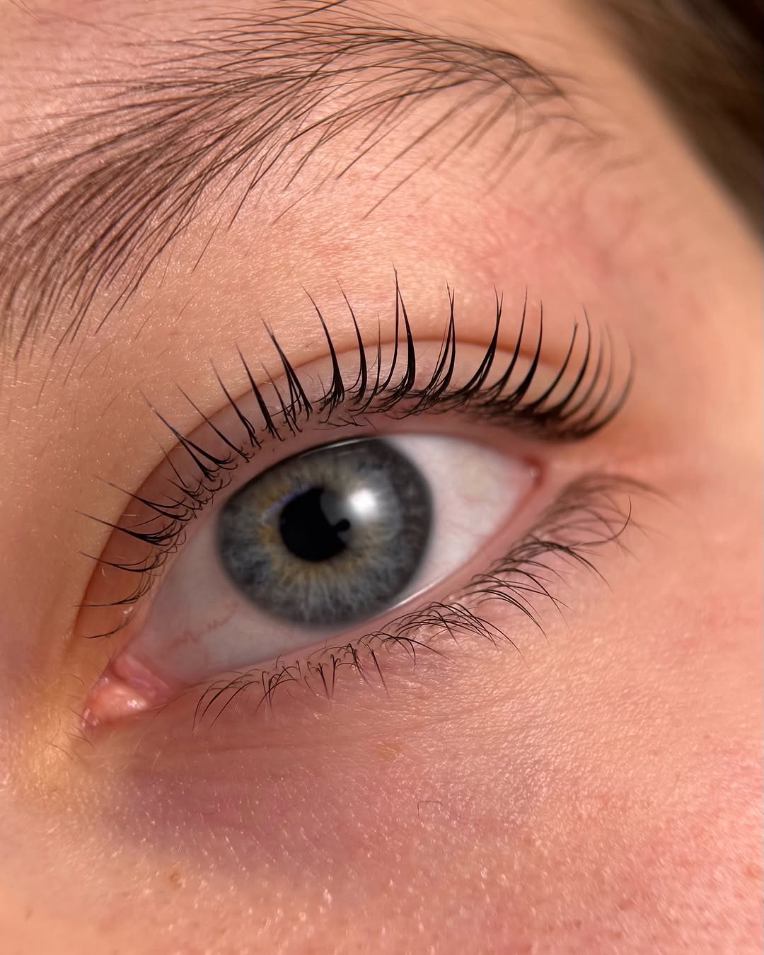 LVL Lashes & Eyebrows